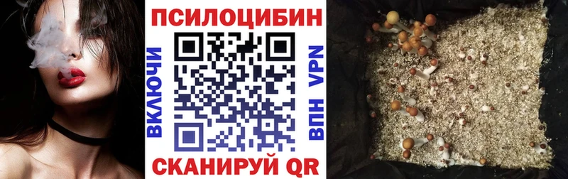 Псилоцибиновые грибы Cubensis где продают мега как войти Сосенский